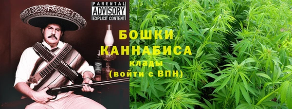 МДПВ Краснослободск