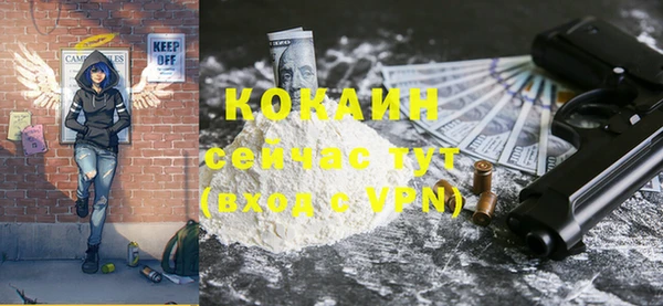 МДПВ Краснослободск