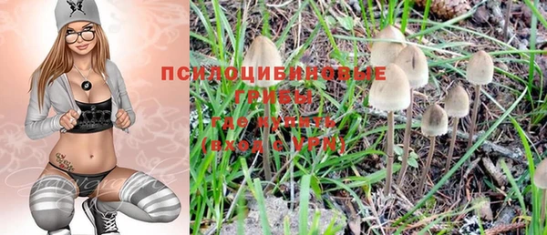 МДПВ Краснослободск