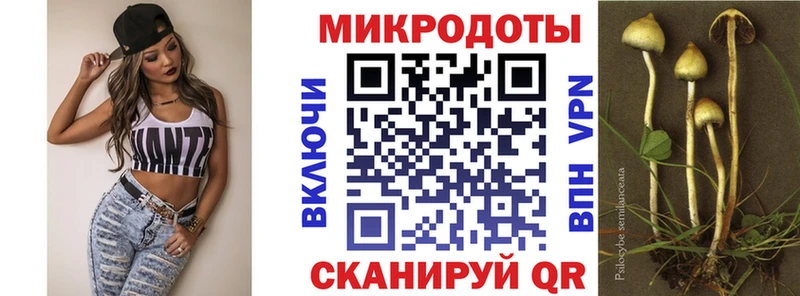 Галлюциногенные грибы прущие грибы  Купить где  Белёв 